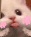 blaShy animated emote