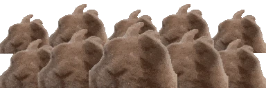 VIBEPARTY emote