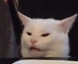 catSalad2 emote