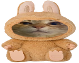 wububu static emote