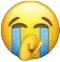 SON emote