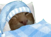buhdge emote