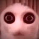 scp emote