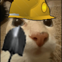 dosepala static emote