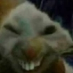 felinomascarado avatar