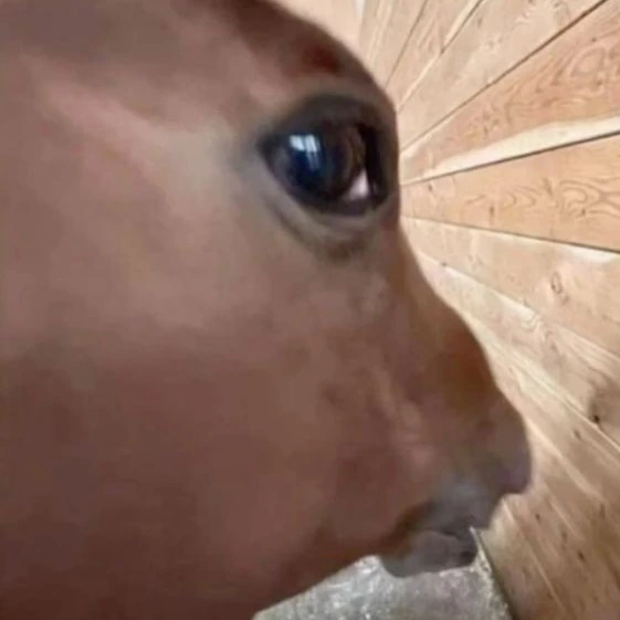 Sus emote