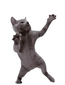 CatDancing emote