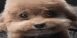 GodBlessYouWithMountainsOfGoldAndSilver animated emote