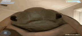 RAWR animated emote
