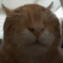 buhlind static emote