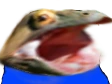 peepoHype emote