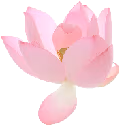 pink_flowers emote