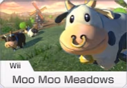 moomoo emote