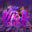 VIRALROLEPLAY emote