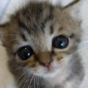AutismCreature emote