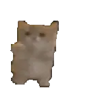 wahoo emote