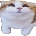hihi emote