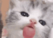 mlemmlem emote