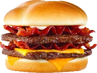 SonOfBaconator emote
