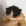 Meowing_Towel_Cat emote