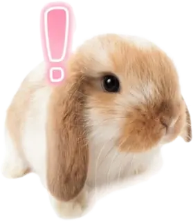 bun emote