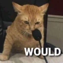 WOULD emote