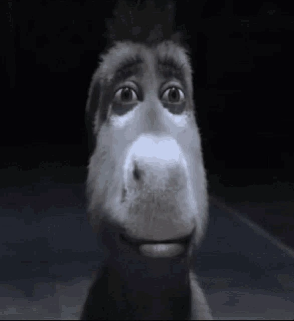 donkey_stare emote
