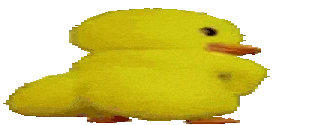 WideDuckAss emote