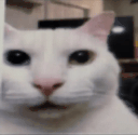 o_o animated emote
