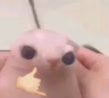 someonetellmewhatthisis emote