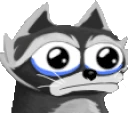 RACCBLUBBERS emote