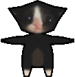 kitten_spin emote
