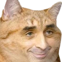 zemmourcat emoji