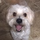 happycookie emote