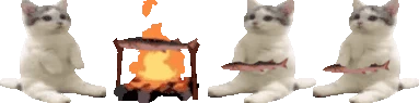 CatCookingJoelOnACampFireWithHisFriends emote