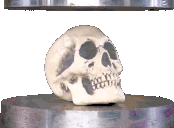 Pressed emote