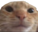 deaf emote
