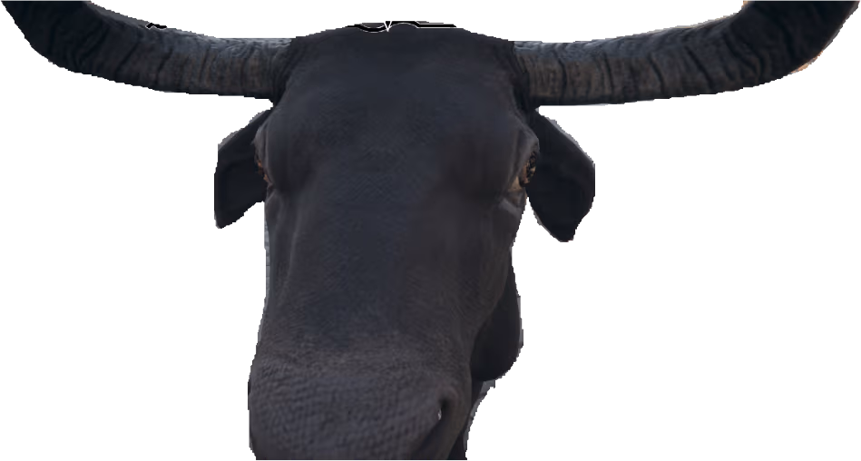 lehma emote