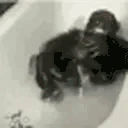 BathTime emote