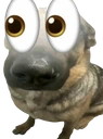 ong emote
