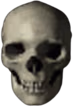 skull_hd emote