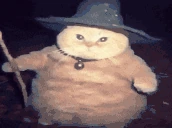fatasswizardcastssnow emoji