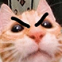 cat4 static emote