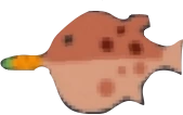 carrotfish emote