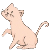 catching_butterflies_kitty emote