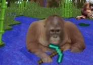 minecraft emote