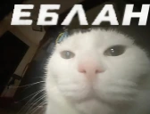 EBLAN emote