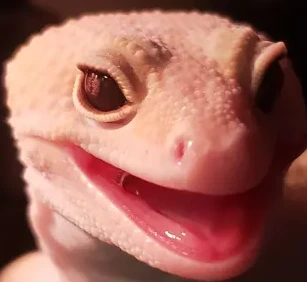 MrManMouthSmile emote