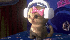 catVibe animated emote