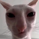 james emote